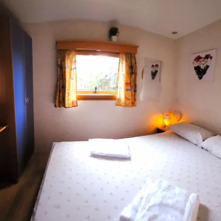 Holiday park International Holidays Luxe House: Beachfront Pool In Lerici, Pet-friendly