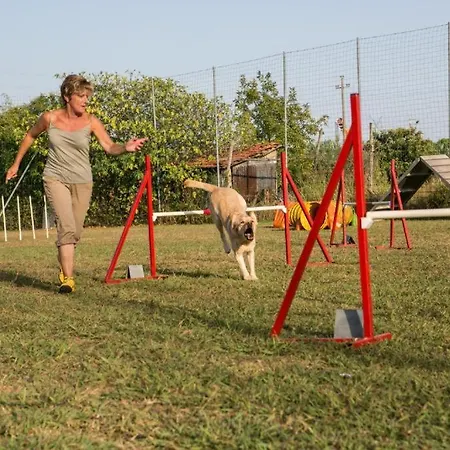 Parco vacanze International Holidays Luxe House Pool Beach-lerici-cinque Terre-liguria Vacanze-dog Ok In Touristic Village River